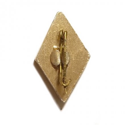 Значок ДСШ Грация. Детская спортивная школа. Ленинград