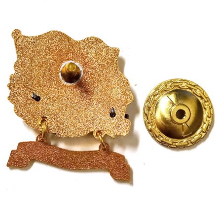 Знак За дальний поход. БДК &quot;Минск&quot;