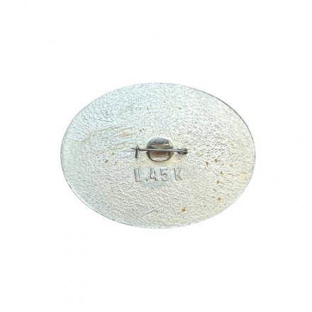 Значок Иркутск. Областной фонд культуры. Церковь Спасо-Преображения, 1793 год