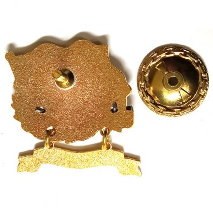 Знак За дальний поход. БДК &quot;Пересвет&quot;