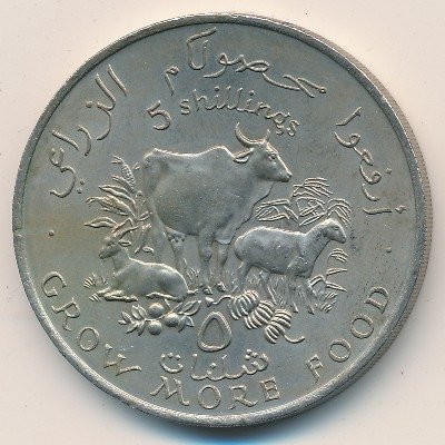 Сомали 5 шиллингов 1970 год