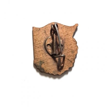 Значок Fur gutes wissen. FDJ. За хорошие знания. ГДР. Комсомол, тяжелый