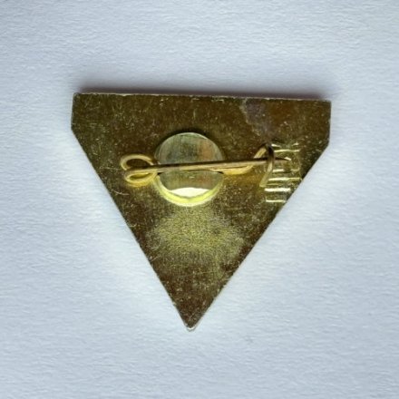 Значок. Футбол. Житомир