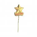Значок-иголка Москва. Звезда