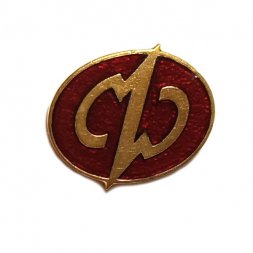 Значок Социальный фонд России