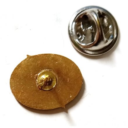 Значок Социальный фонд России