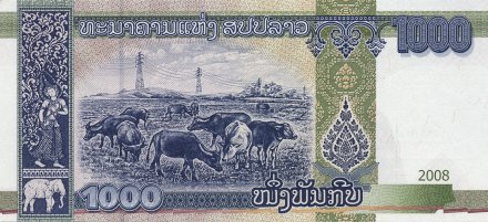 Лаос 1000 кип 2008 год - Храм Пха Тат Луанг. Выпас скота