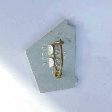 Значок. Парусный спорт. Спорт