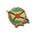 Значок 300 лет флоту, булавка