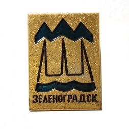 Значок город Зеленоградск