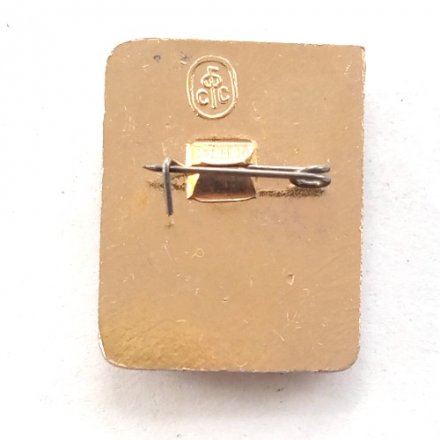 Значок СССР &quot;1-ый разряд Горные лыжи, слалом&quot;