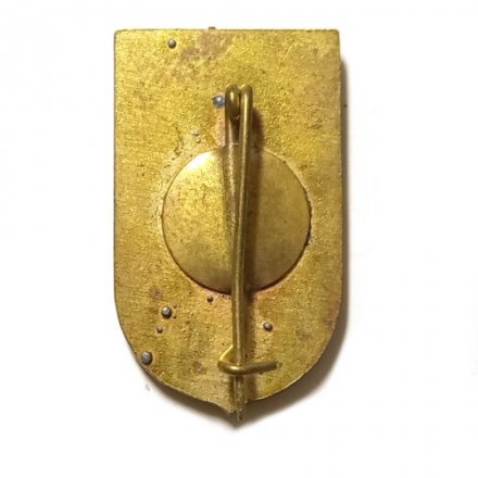 Значок Венгрия. Орошхаза. Герб