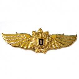 Знак Классность ФСО (Федеральная служба охраны) специалист 1 класса