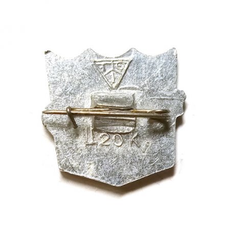 Значок Тюмень