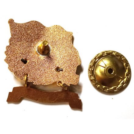 Знак За дальний поход. СКР &quot;Ладный&quot;