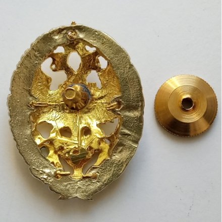 Знак &quot;Медицинская академия&quot;