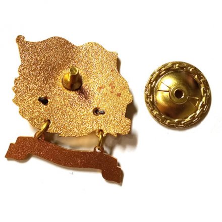 Знак За дальний поход. СКР &quot;Пытливый&quot;