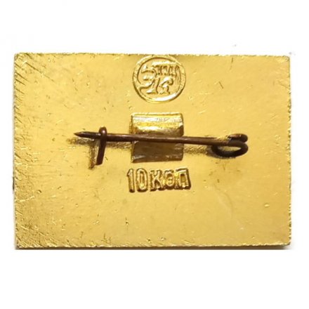 Значок Кузьминки. Подмосковная усадьба. Ванный домик. Д. И. Жилярди XIX век