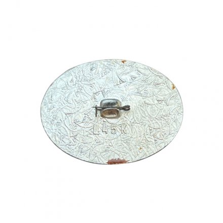 Значок Иркутск. Областной фонд культуры. Дом-музей семьи Трубецкого, 1854 год