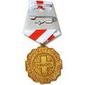 Знак &quot;За борьбу с коронавирусом&quot;