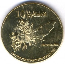 Монетовидный жетон Татарстан 10 рублей 2013 год - Бурый ушан