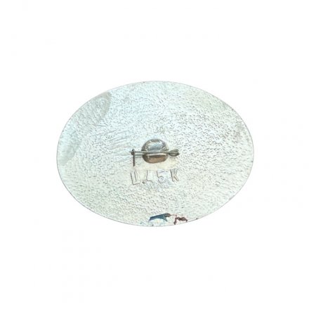 Значок Иркутск. Областной фонд культуры. Дом семьи Трубецкого С.П., 1854 год