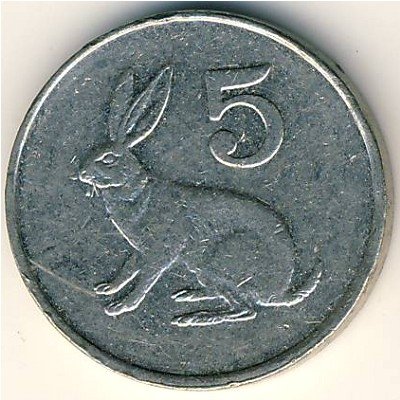 Зимбабве 5 центов 1999 год - Заяц