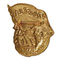 Знак Победа 70 лет (ВОВ), тяжелый