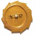 Значок Интеркосмос. Международные полеты в космос. Флаги государств