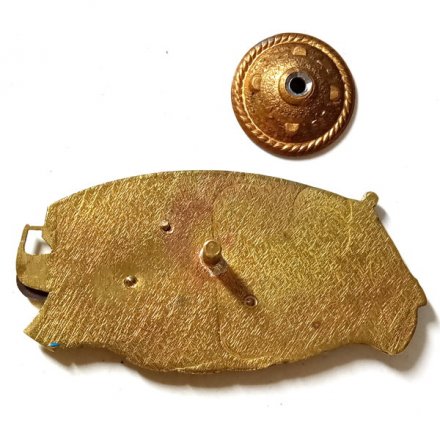 Знак ТК-35 &quot;Алтайский комсомолец&quot;. БФ. ВЛКСМ