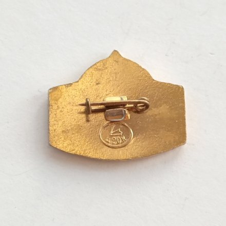 Значок &quot;ИнтерКосмос Союз 31 СССР-ГДР&quot;