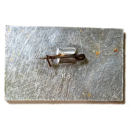 Значок Кировск. Горные лыжи. Приз им. С.М. Кирова - 1971 г.