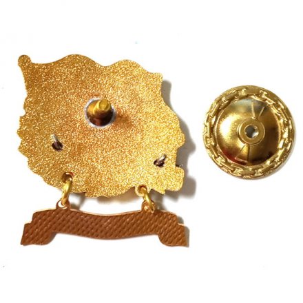 Знак За дальний поход. Корвет &quot;Бойкий&quot;