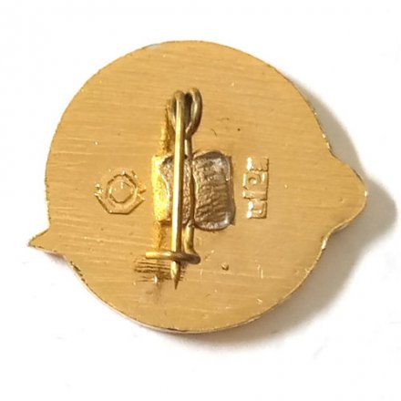 Значок СССР &quot;Первый человек в космосе 1961-1971&quot;