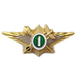 Нагрудный квалификационный знак ФТС "Специалист 1 класса" для сотрудников таможенных органов, с удостоверением