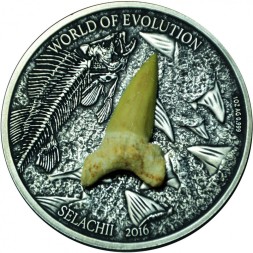 Монета Буркина Фасо 1000 франков 2016 год - Селачи. Зуб доисторической акулы