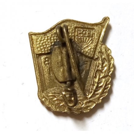 Значок Fur gutes wissen FDJ За хорошие знания ГДР, тяжелый