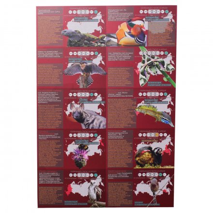 Альбом для монетовидных жетонов &quot;Красная книга&quot; часть 2 - 20 капсул (пустой)