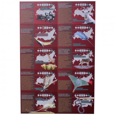 Альбом для монетовидных жетонов &quot;Красная книга&quot; часть 2 - 20 капсул (пустой)