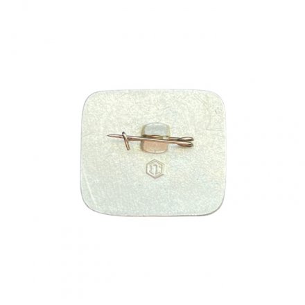 Значок 50 лет МДНТП имени Ф.В. Дзержинского