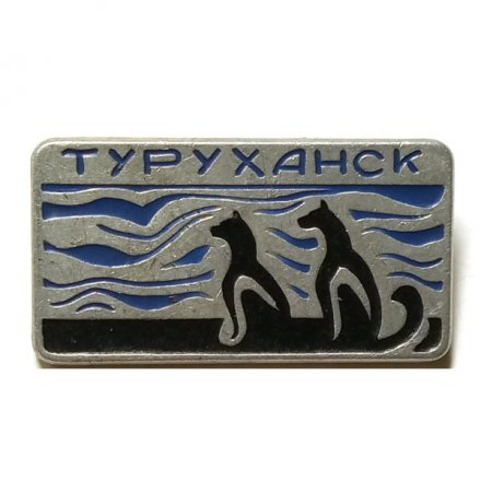Значок Туруханск