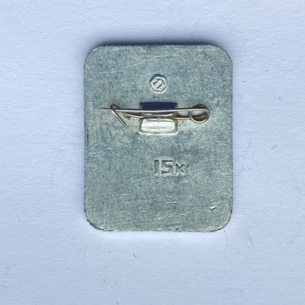 Значок. ДСО Водник. Бокс