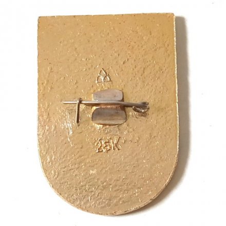 Значок Интеркосмос. СССР-ВНР (Венгрия)