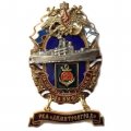 Знак За службу России в ВМФ. РКА &quot;Димитровград&quot; (большой орел)
