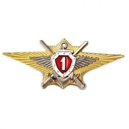 Знак Росгвардии "Классная квалификация" (специалист 1-го класса) для военнослужащих, проходящих военную службу по контракту, с удостоверением