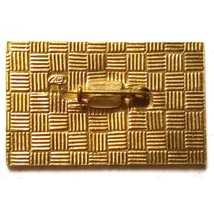 Значок 40 лет Таймырскому округу