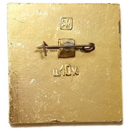 Значок Светлогорск. Герб. Серия &quot;Квадраты-1 современные&quot;