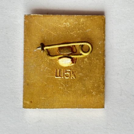 Значок. 9 мая Орден победы