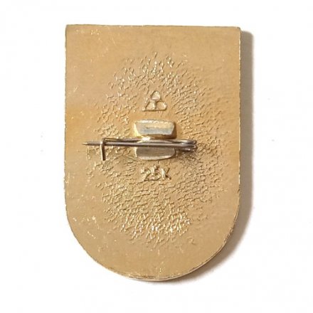 Значок Интеркосмос. СССР-Куба