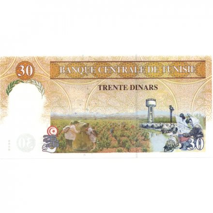 Тунис 30 динар 1997 год - Абуль-Касим аш-Шабби UNC